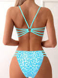 Leopard print two piece sexy swimsuit